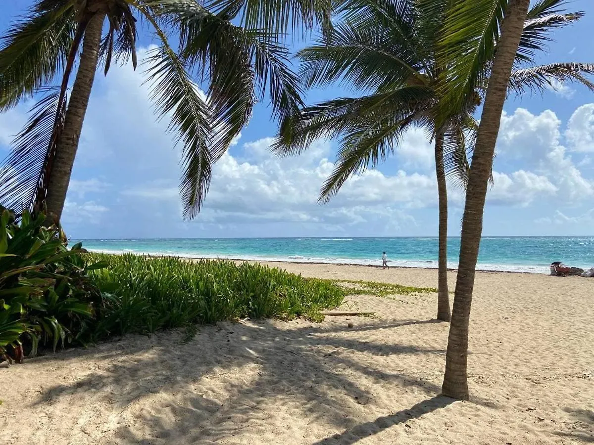 Apartment 2 Rooms, 4 Beds, Pool, 5Min Beach White Sand Punta Cana Dominican Republic